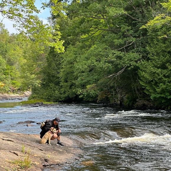 Meet your Posher, Patty - Picture 3 of 6